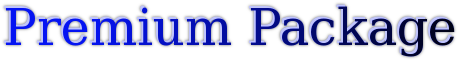 Premium Web Design