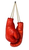 boxing-gloves-cms-applications