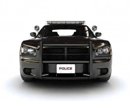 police-websites-car