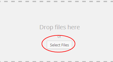 Select Files Button
