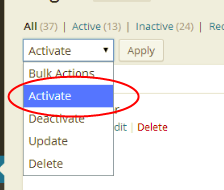 Bulk Activate