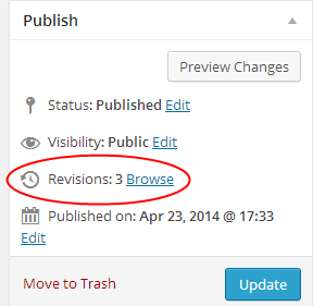 Revisions In WordPress