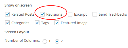 Screen Options Revisions