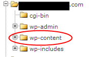 WP-Content
