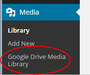 Google Drive Media Library