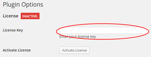 License Key
