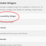 Accessibility Widget