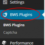 BWS Plugins