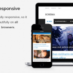 Schema SEO Theme For WordPress