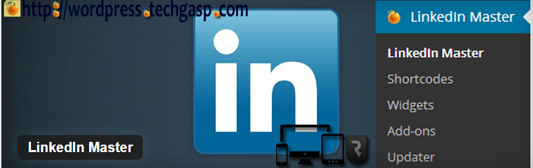LinkedIn Master