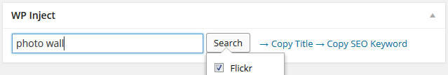 WP Inject Search