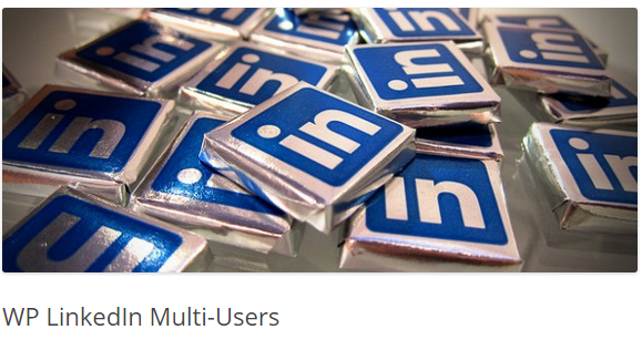 WP LinkedIn Multi Users