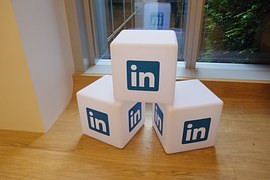 LinkedIn WordPress Plugins