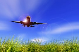 Travel Blogger
