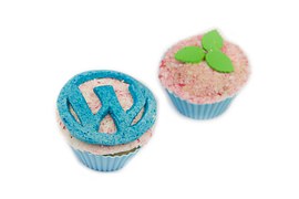WordPress CMS