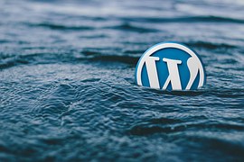 WordPress Drop Down