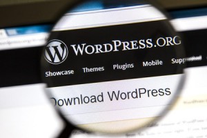 WordPress for Developers